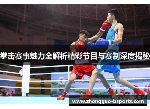 拳击赛事魅力全解析精彩节目与赛制深度揭秘