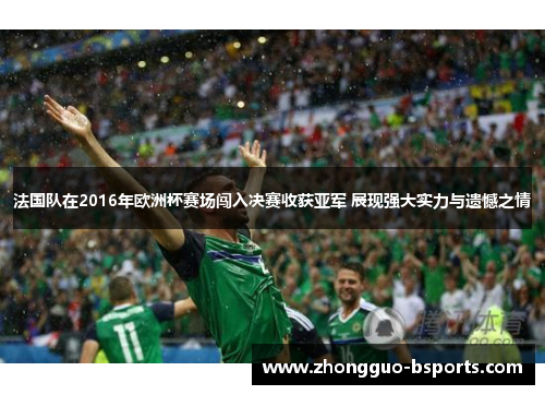 法国队在2016年欧洲杯赛场闯入决赛收获亚军 展现强大实力与遗憾之情