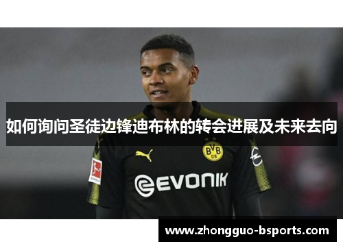 如何询问圣徒边锋迪布林的转会进展及未来去向