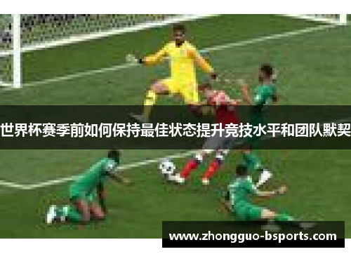 世界杯赛季前如何保持最佳状态提升竞技水平和团队默契