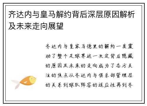 齐达内与皇马解约背后深层原因解析及未来走向展望