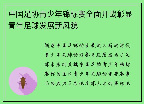 中国足协青少年锦标赛全面开战彰显青年足球发展新风貌